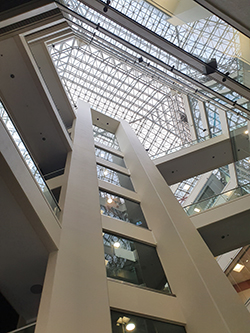 Octagon-Atrium-1-250x-1.jpg